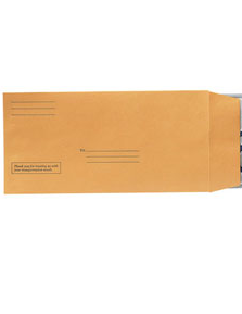 LICENSE PLATE ENVELOPES WITH IMPRINTED LINES (100) - Sisupplies.com