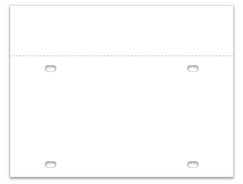 Temporary License Plate Tags - NO BAGS NEEDED! 6 by 11" (100)