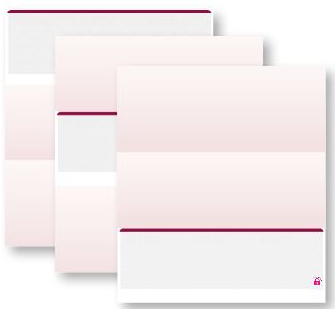 Accounts Payable Check stock - plain with 13 security Features ...